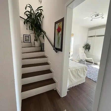 Duplex Avec Belle Vue Sur La Moselle Appartement Remich