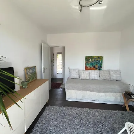 Apartment Duplex Avec Belle Vue Sur La Moselle *