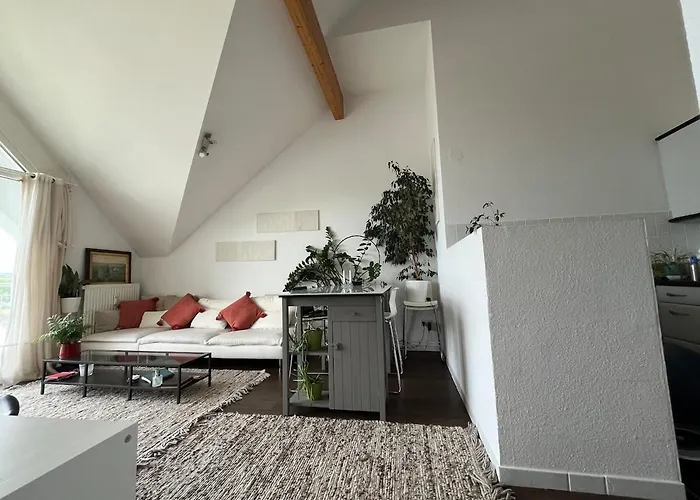 Duplex Avec Belle Vue Sur La Moselle Appartement Remich