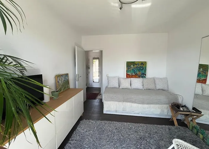 Apartment Duplex Avec Belle Vue Sur La Moselle *